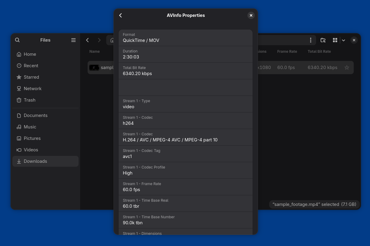 AVInfo Properties Screenshot