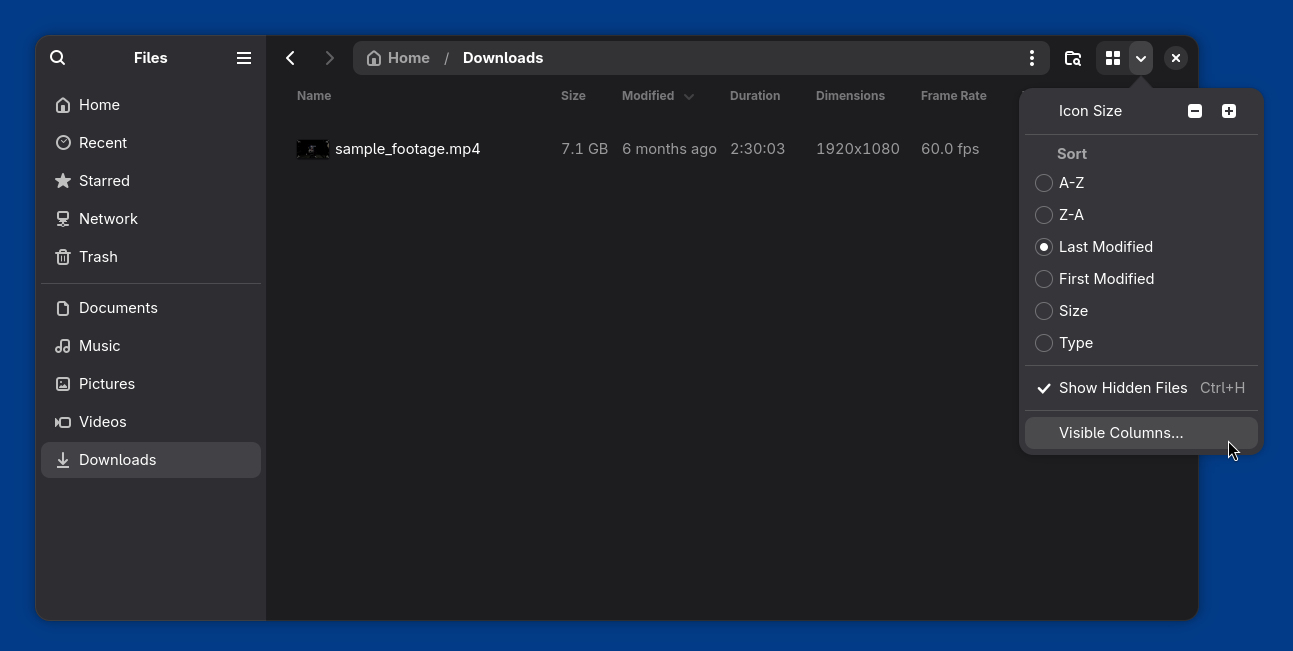 Visible Columns Screenshot